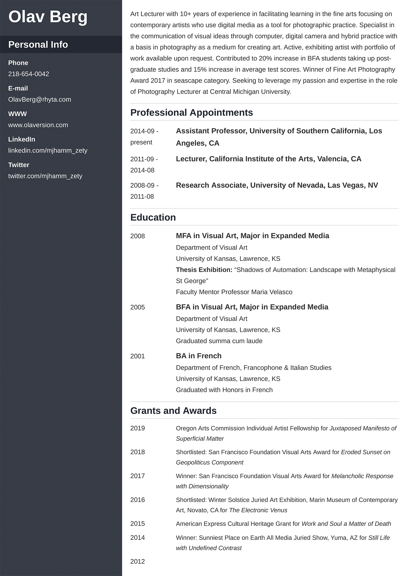 Example of an artist CV