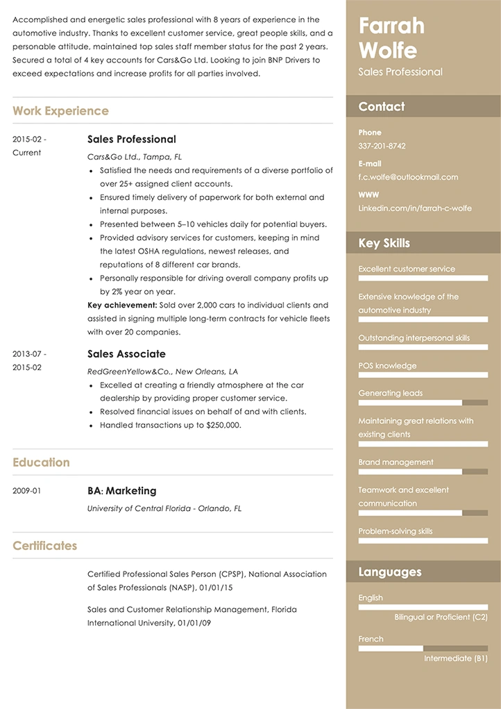 sales resume example