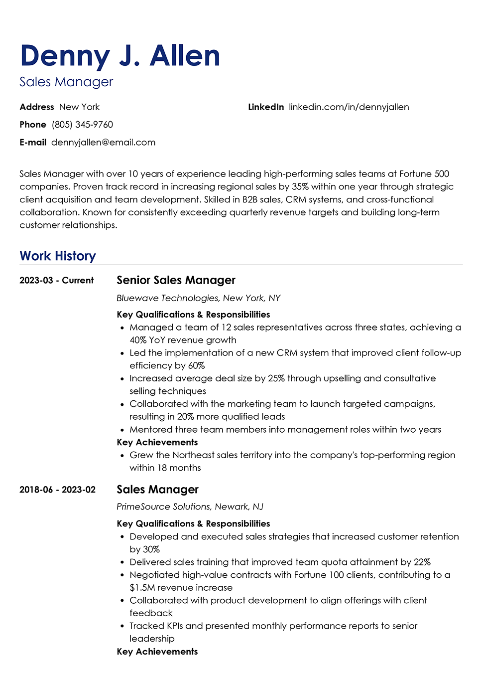 Professional Resume Template Nanica
