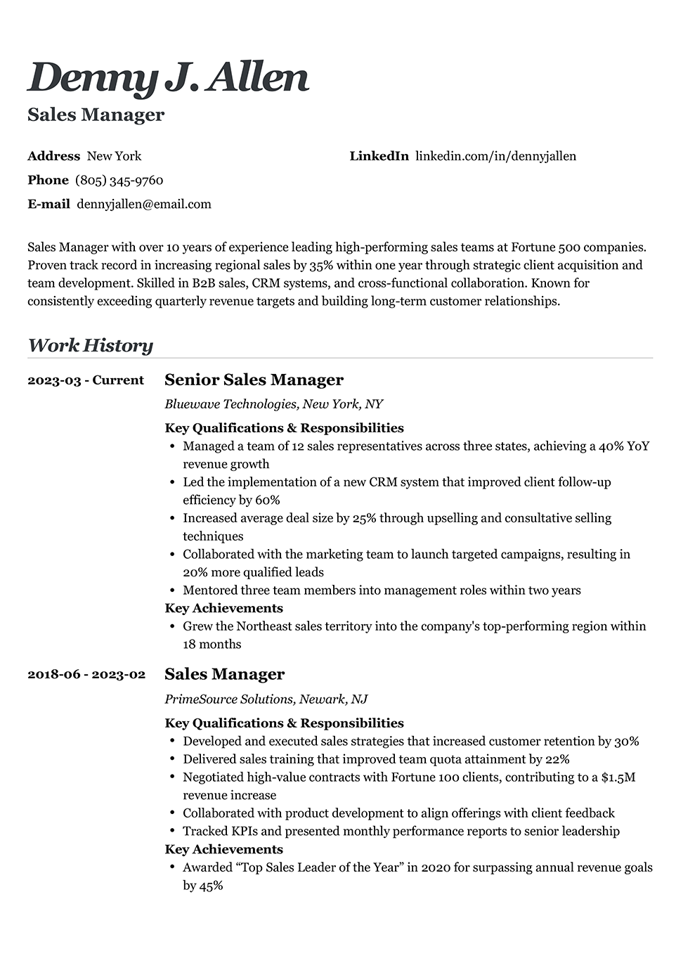 Professional Resume Template Valera