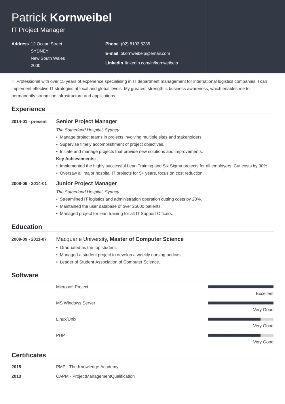 Zety's Influx Resume Template