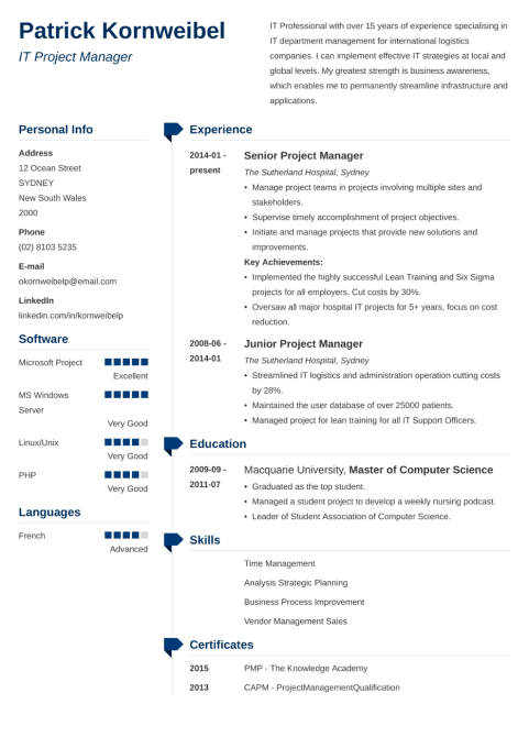 20+ Professional Resume Templates for Any Job [Download]