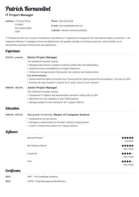 20+ Professional Resume Templates For Any Job [download]