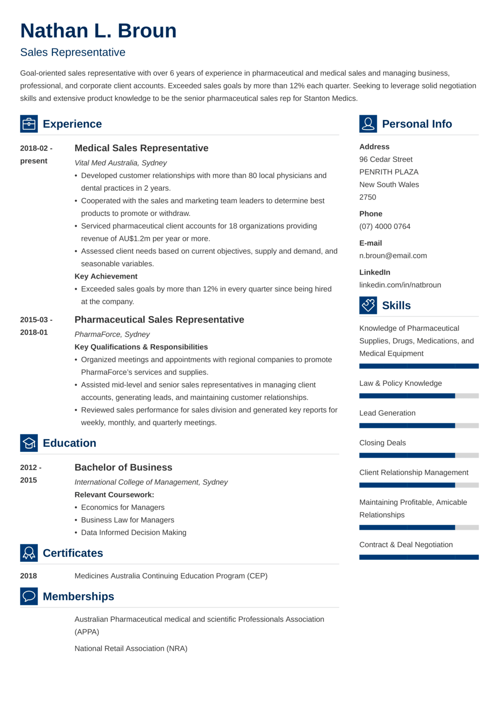 Zety's Vibes CV Template