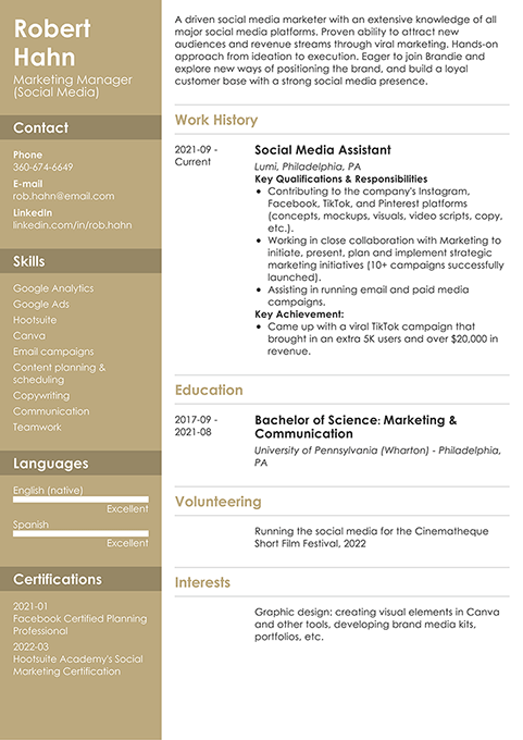 Resume example