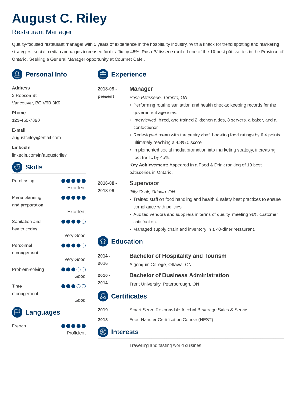 Professional CV Template Crisp