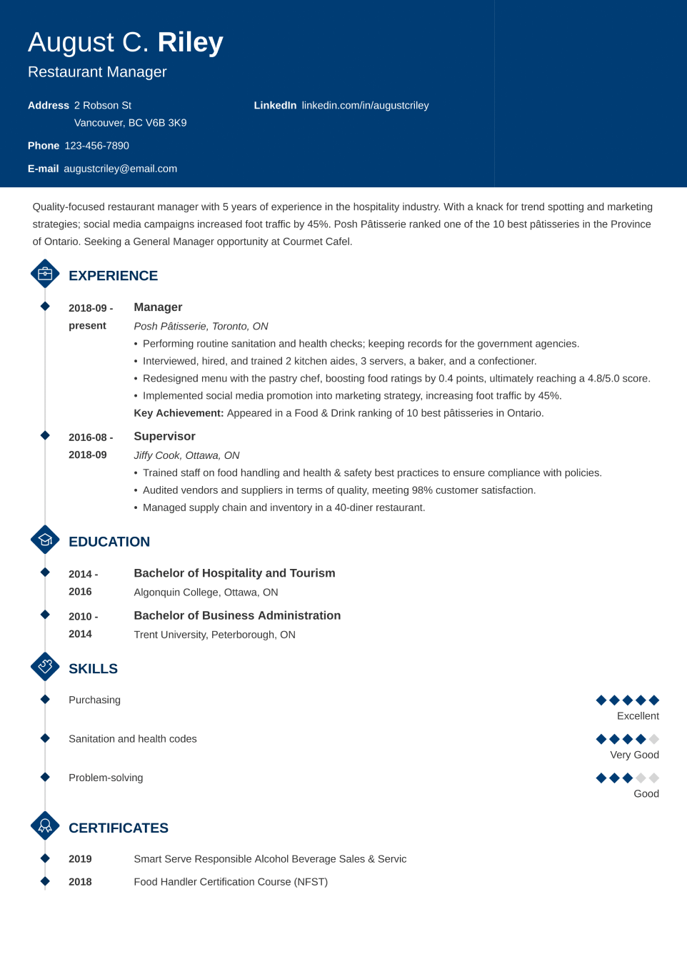 Professional CV Template Diamond