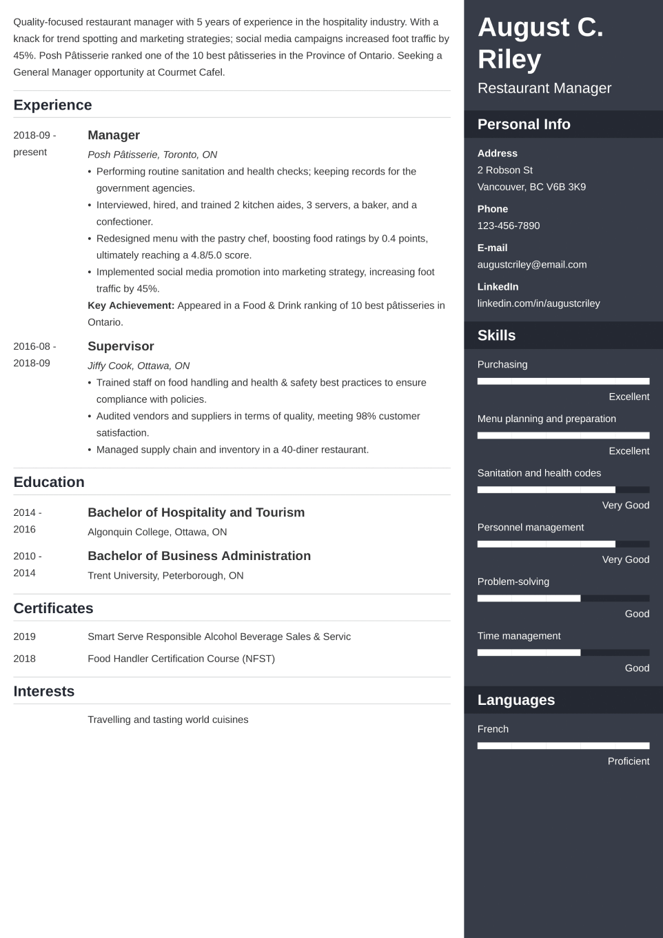 Professional CV Template Enfold