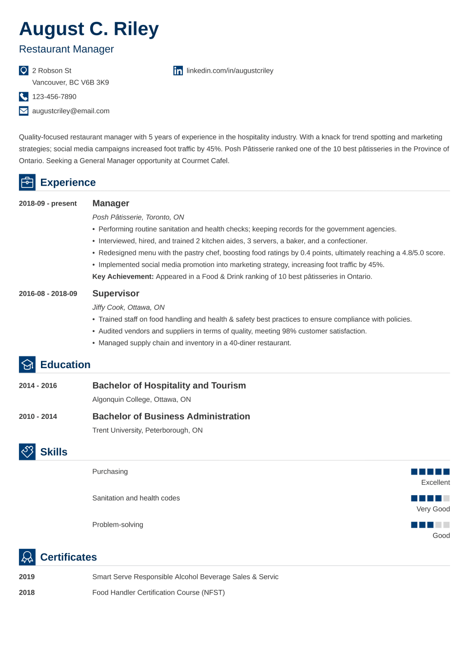 Professional CV Template Iconic