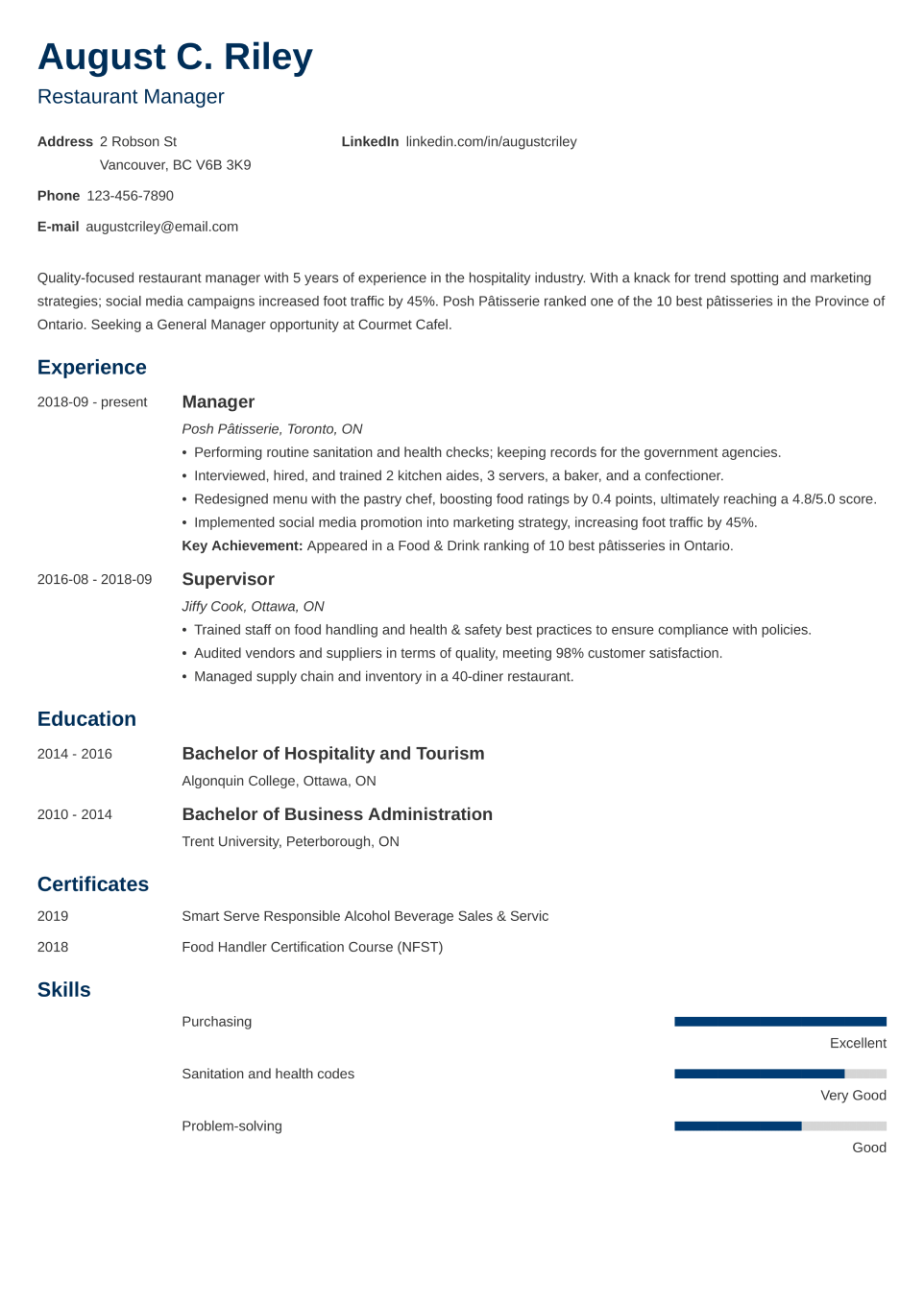 Professional CV Template Minimo