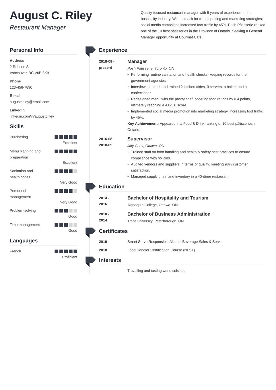 Professional CV Template Muse