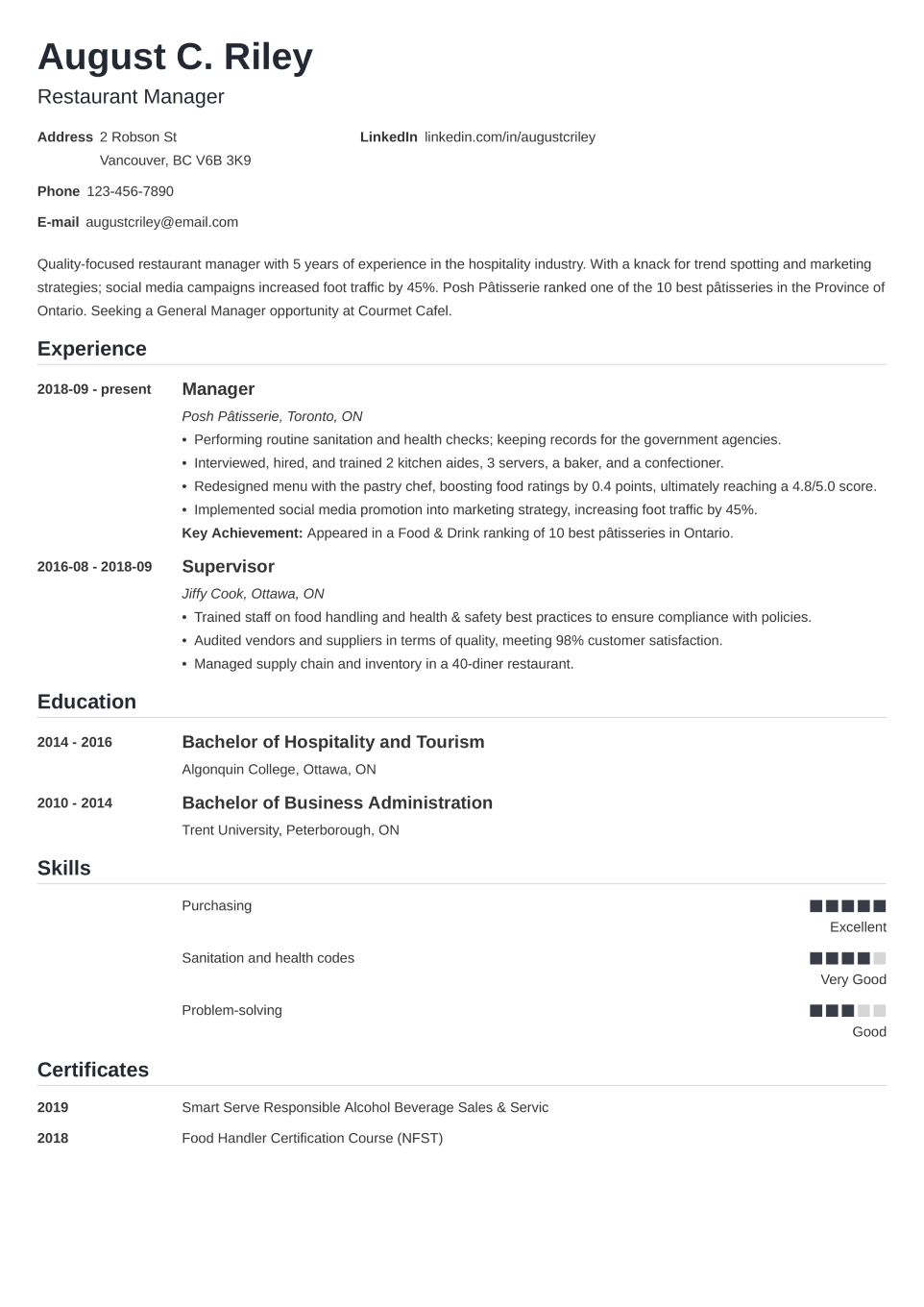 Professional CV Template Nanica