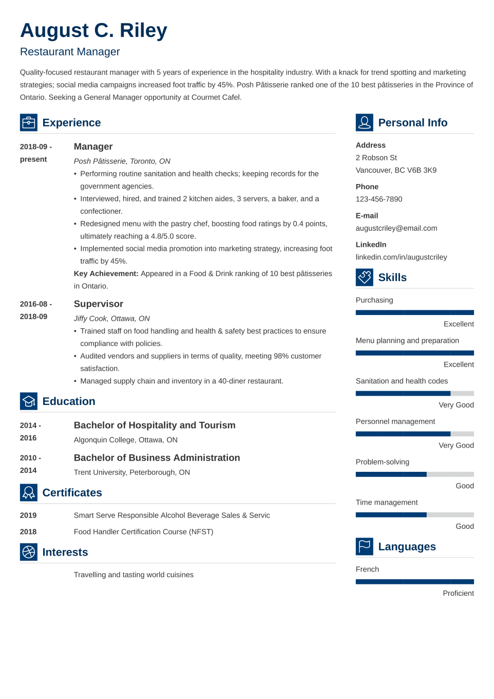 Professional CV Template Vibes