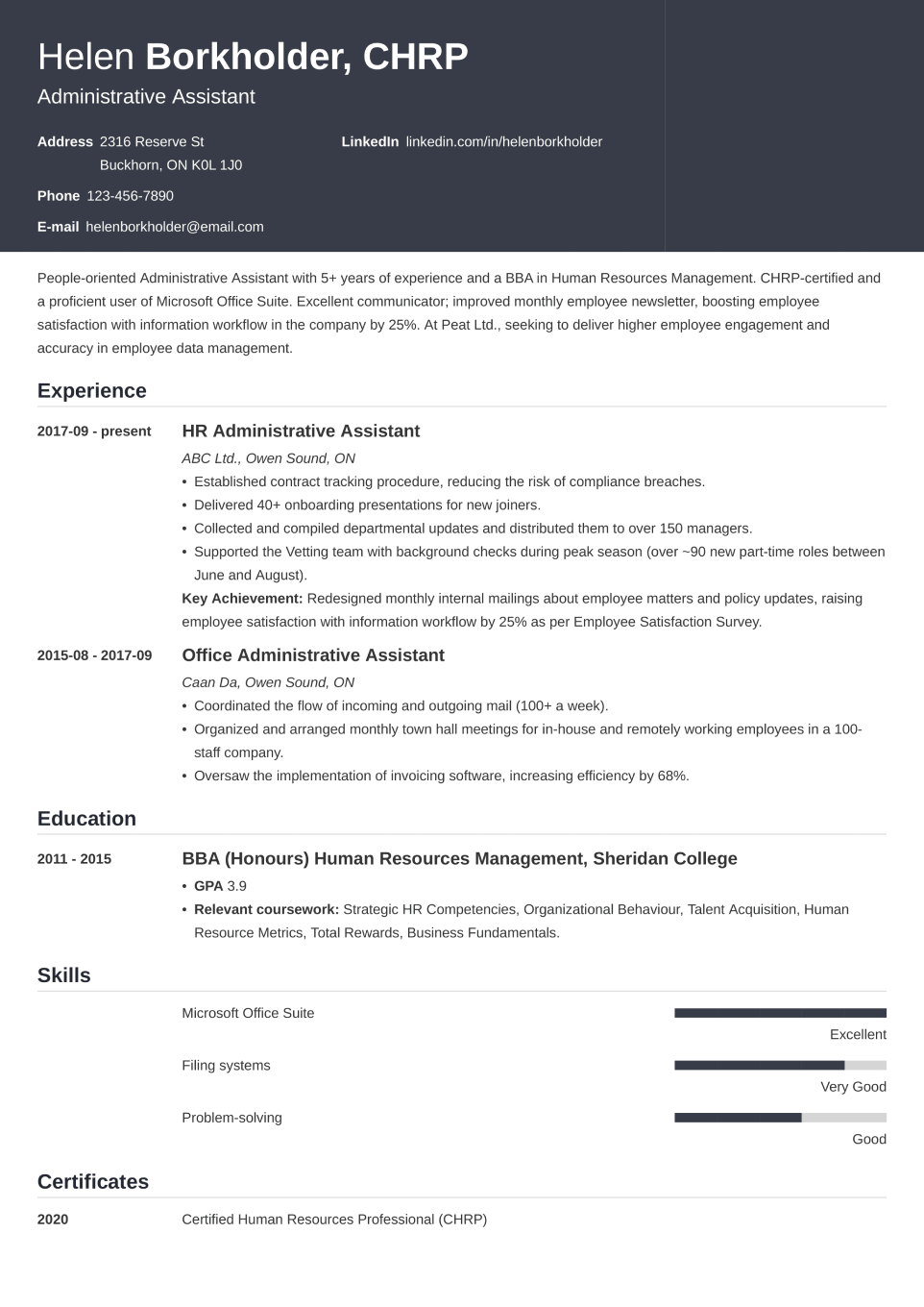 Professional Resume Template Influx
