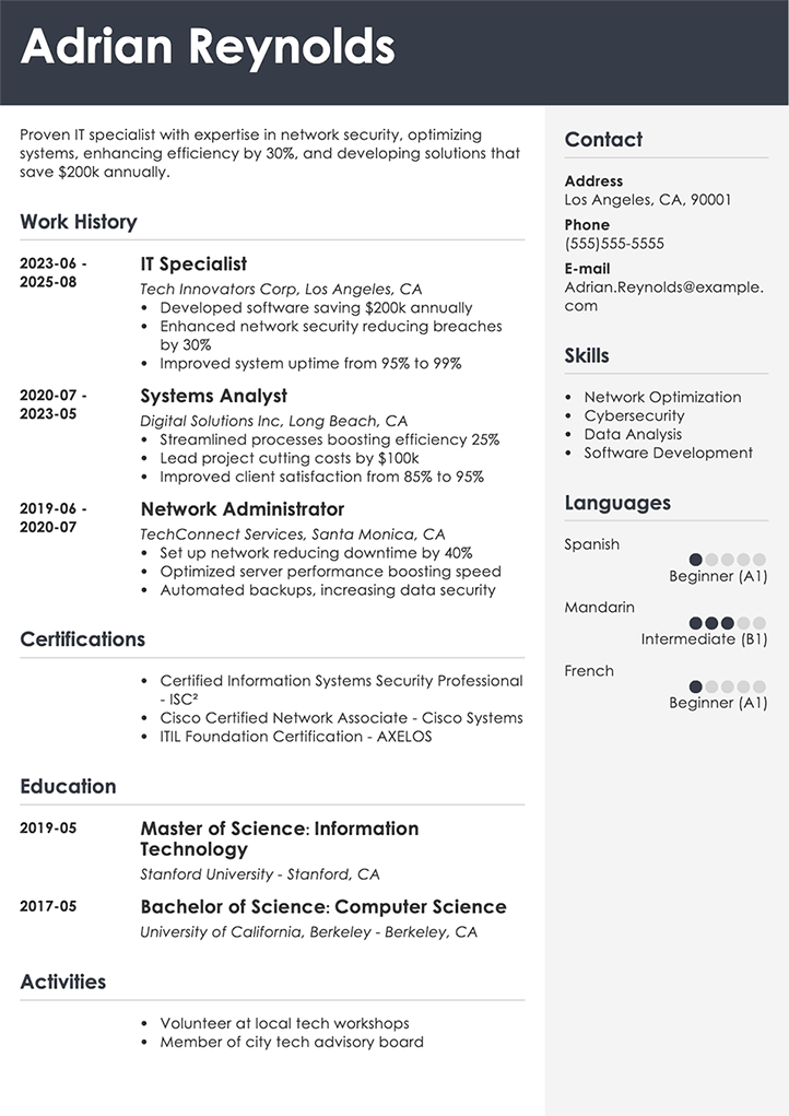 it-resume-example
