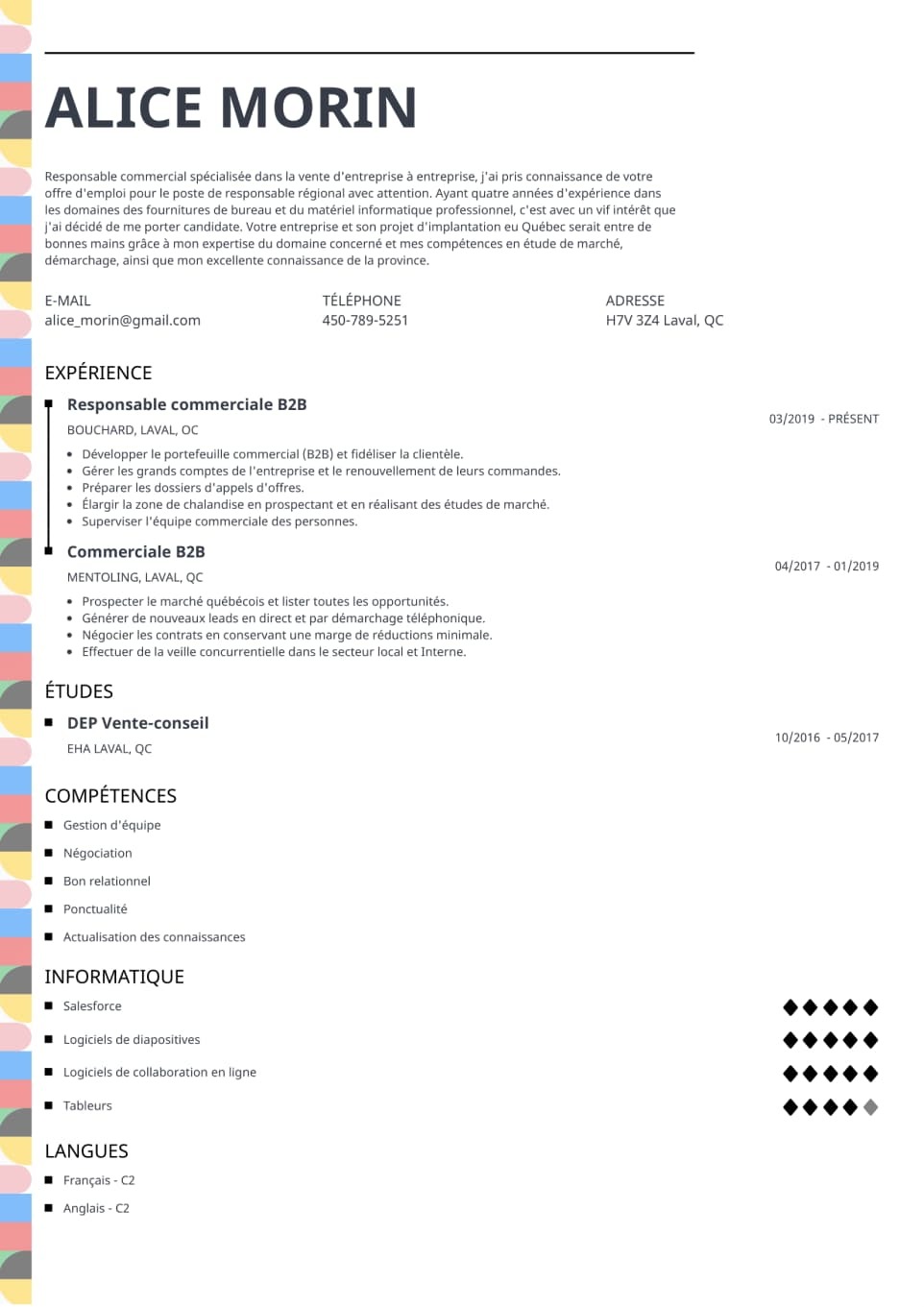 Modèle de CV Profile