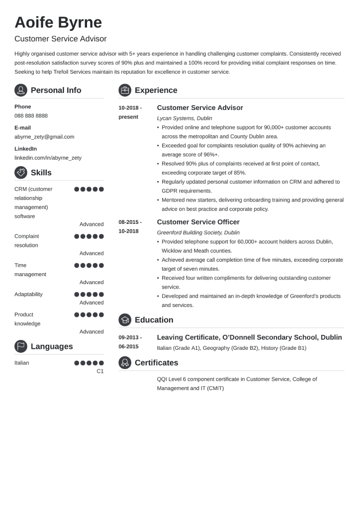 18+ Professional CV Templates to Fill for Free & Download