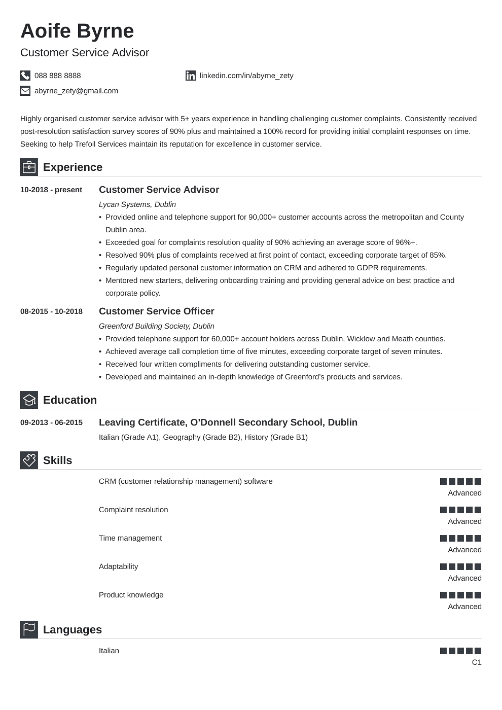 Professional CV Template Iconic