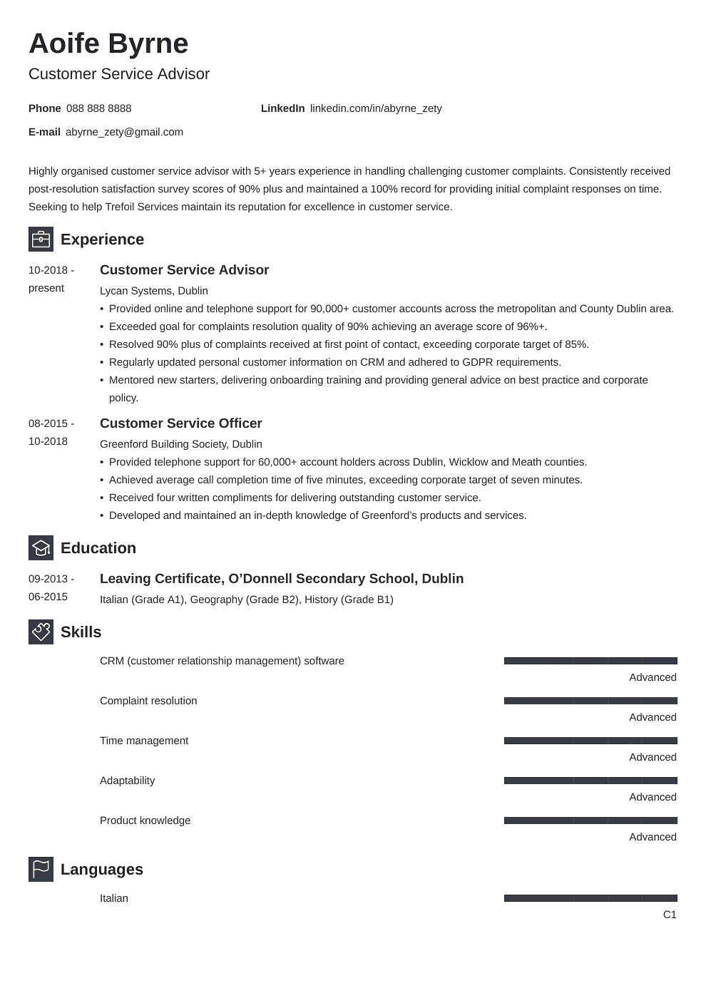 Professional CV Template Newcast