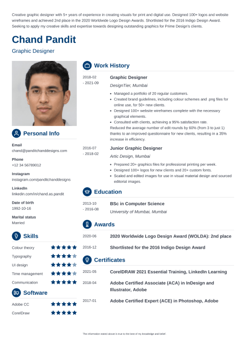 18 Professional CV Templates to Download (PDF/Word Format)