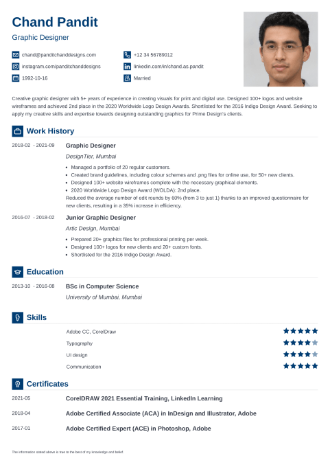 18 Professional CV Templates to Download (PDF/Word Format)