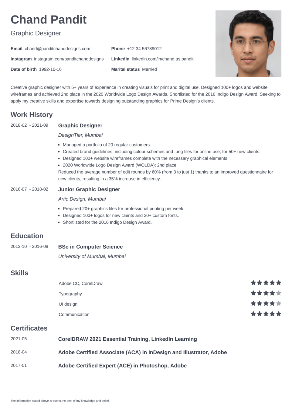 Professional CV Template Minimo