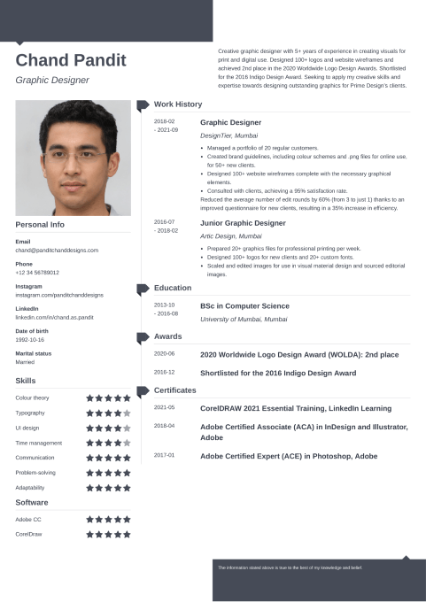 18 Professional CV Templates to Download (PDF/Word Format)