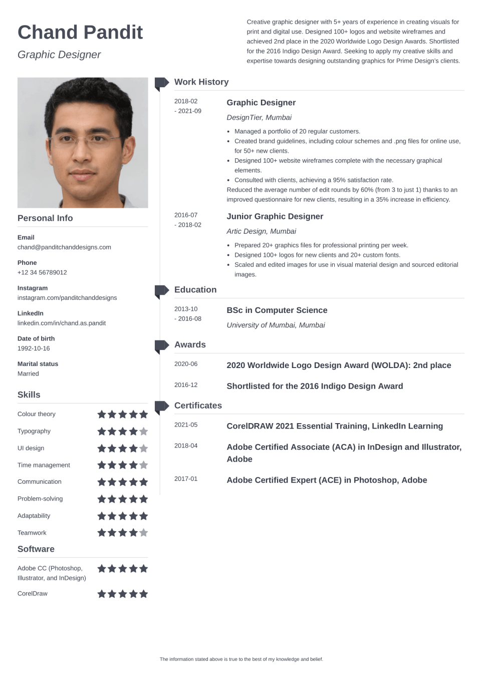 Professional CV Template Muse