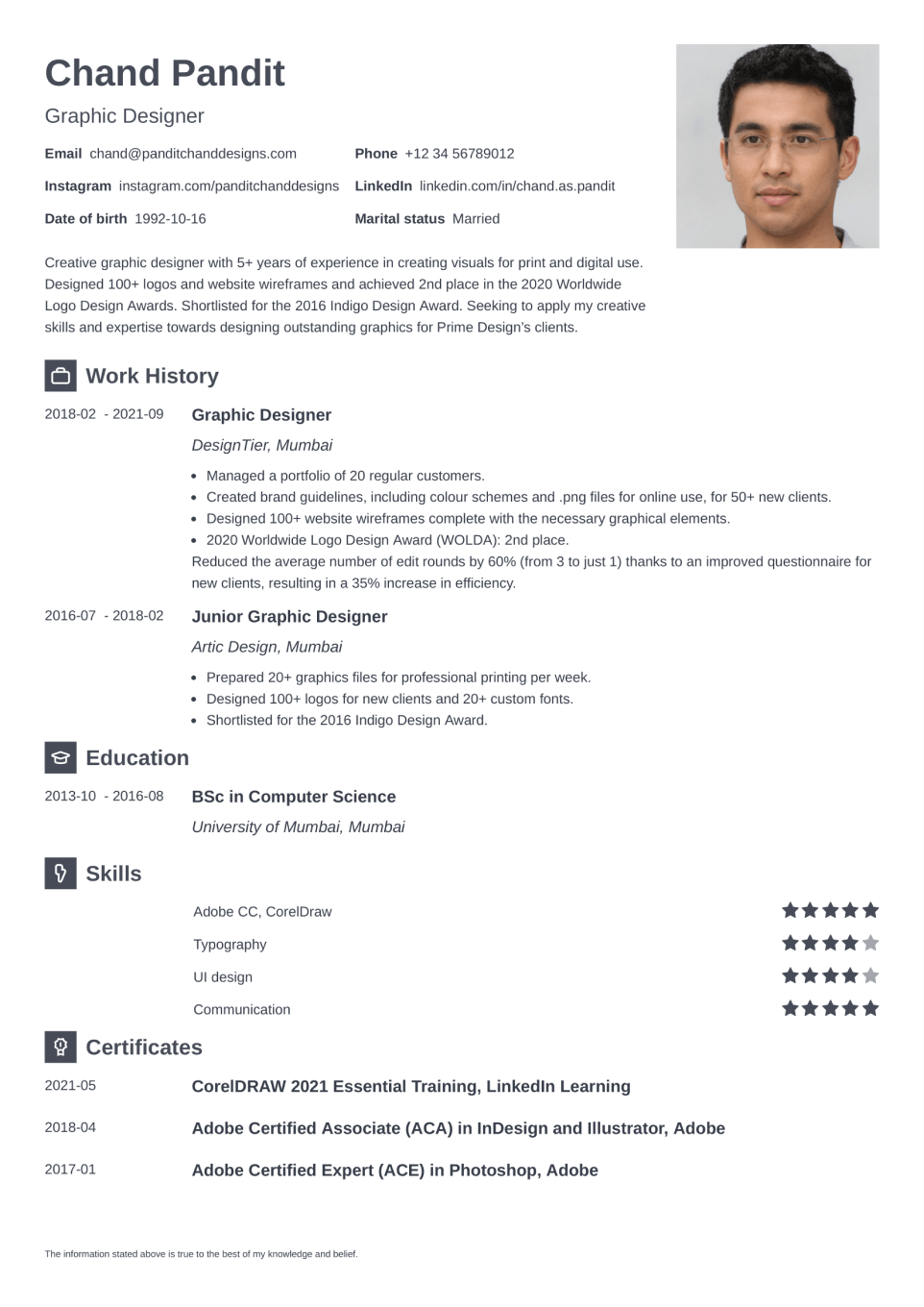 Professional CV Template Newcast
