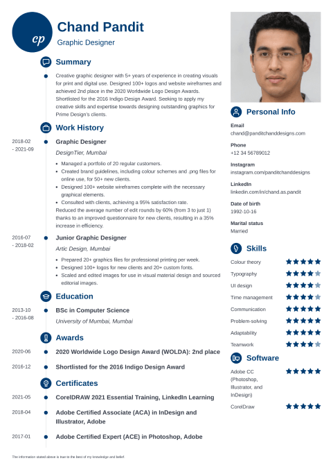 18 Professional CV Templates to Download (PDF/Word Format)