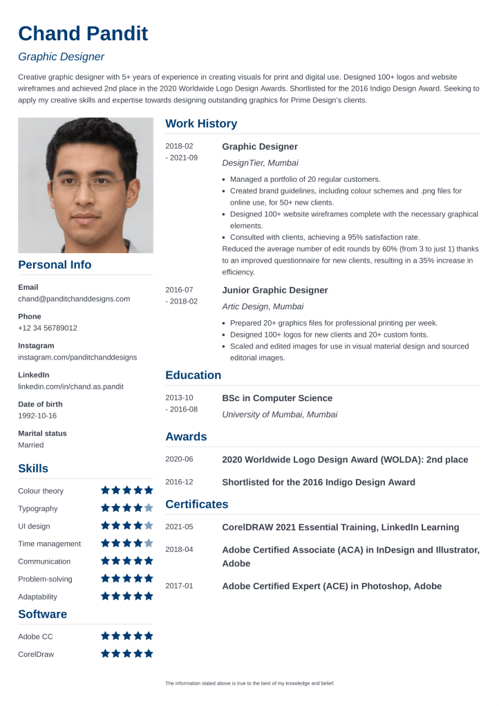 18 Professional CV Templates to Download (PDF/Word Format)