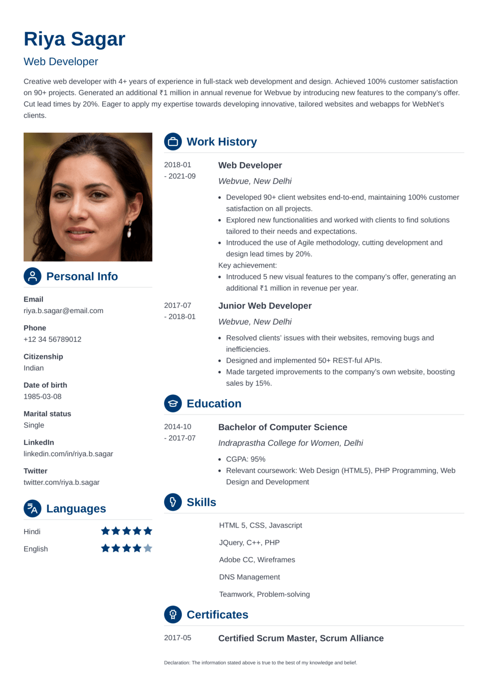 18 Professional CV Templates to Download (PDF/Word Format)