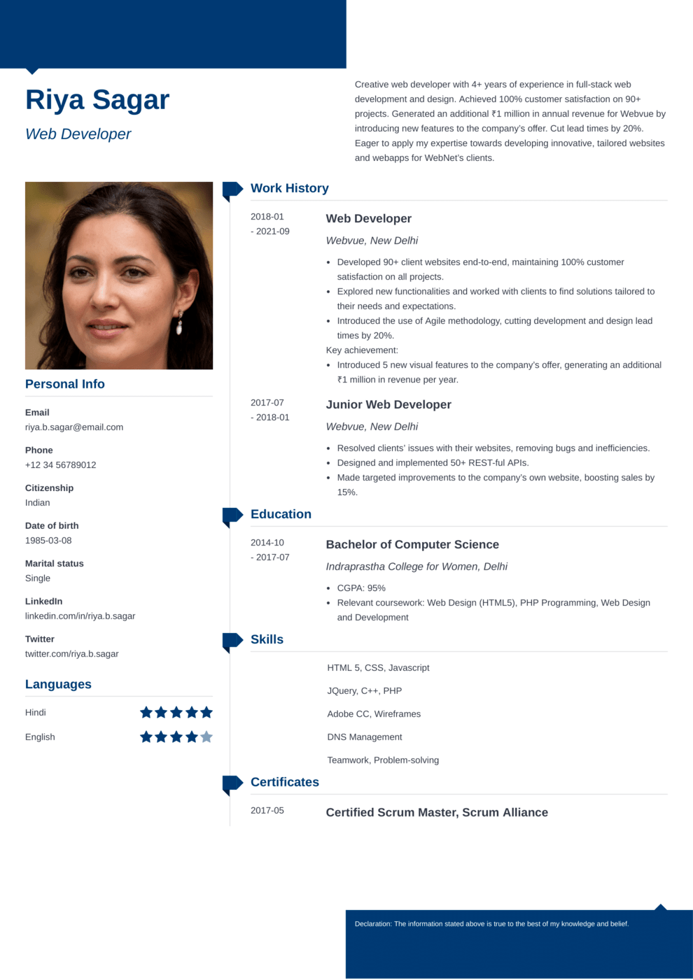 18 Professional CV Templates to Download (PDF/Word Format)