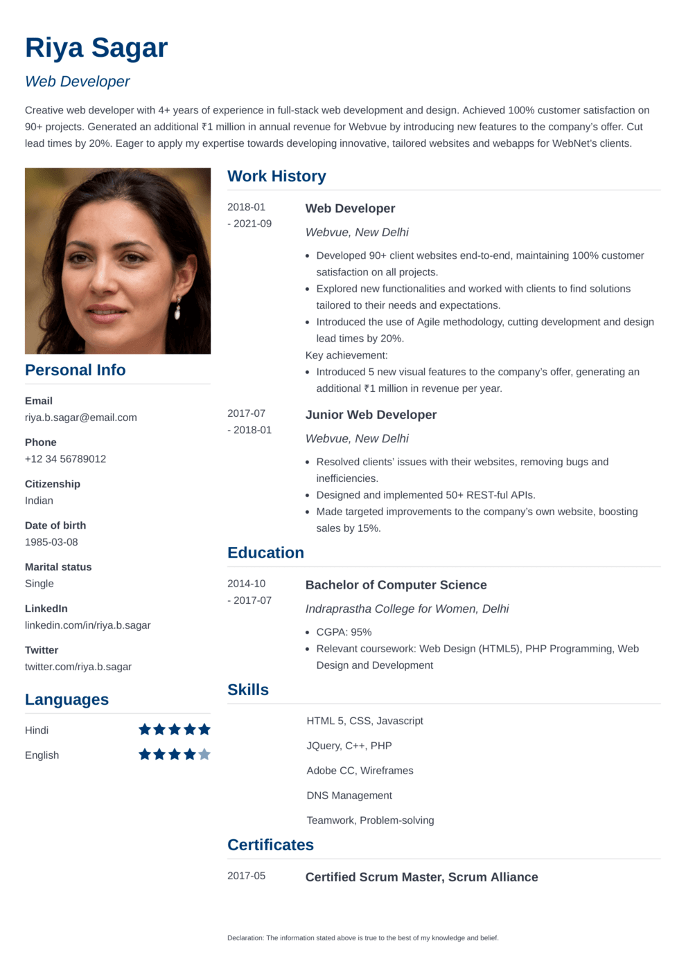 18 Professional CV Templates to Download (PDF/Word Format)