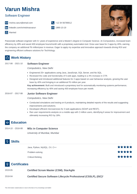 20+ Professional Resume Templates & Free Template to Use