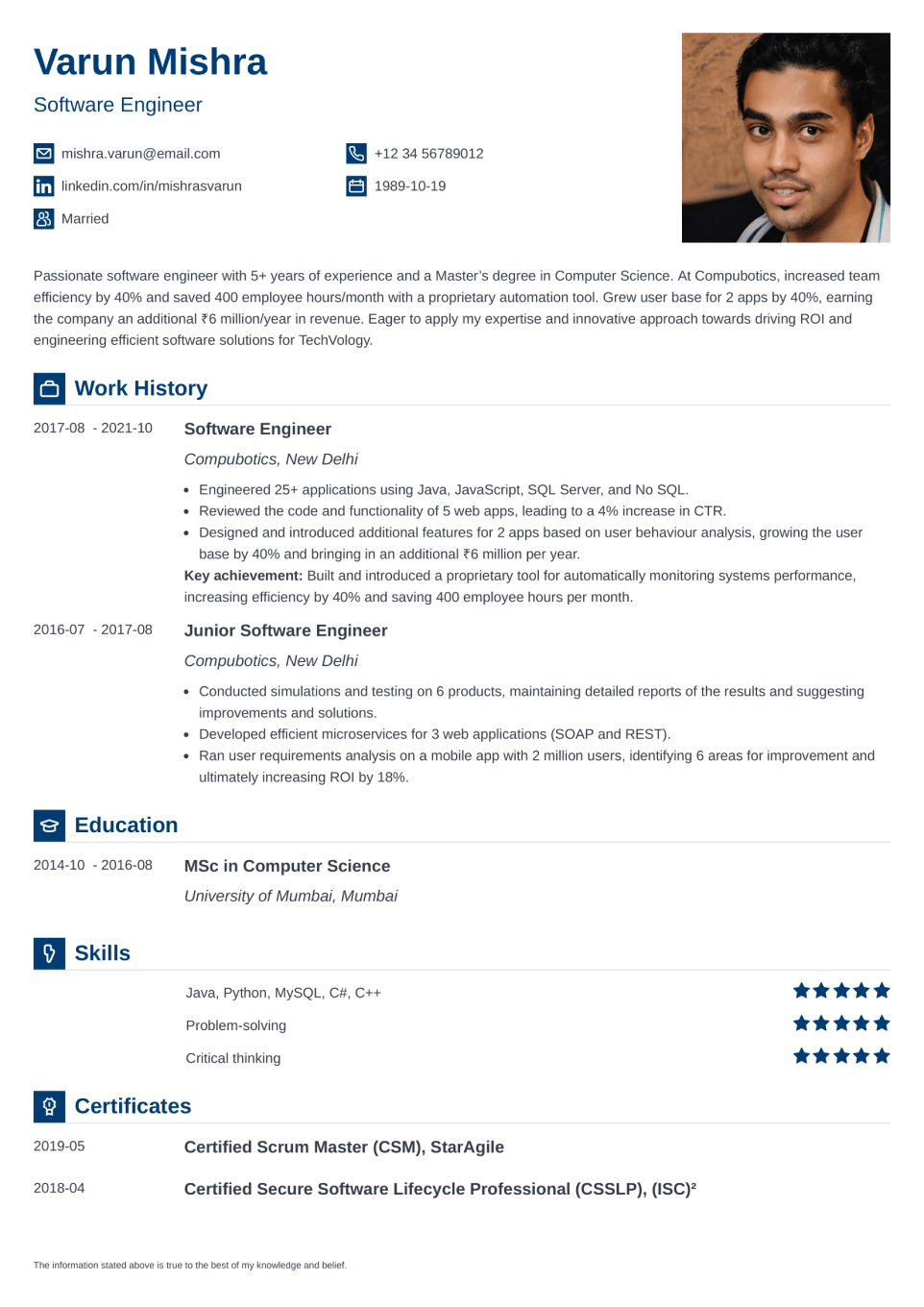 Professional Resume Template Iconic