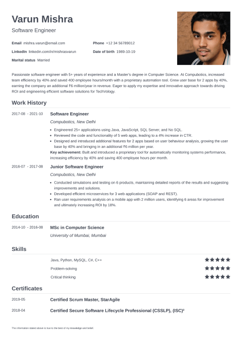 20+ Professional Resume Templates & Free Template to Use