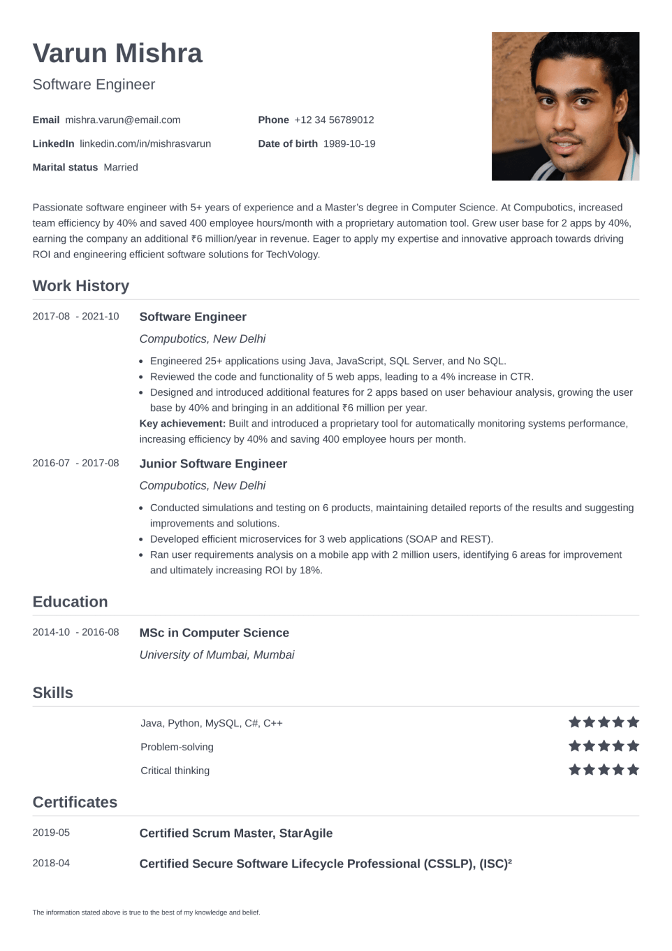 Professional Resume Template Nanica