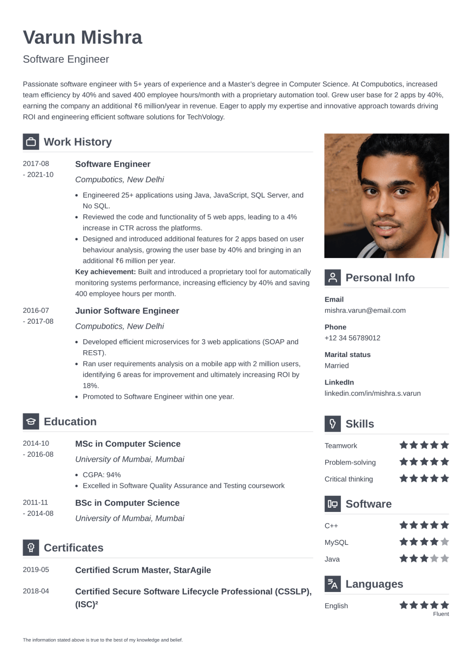 Professional Resume Template Vibes