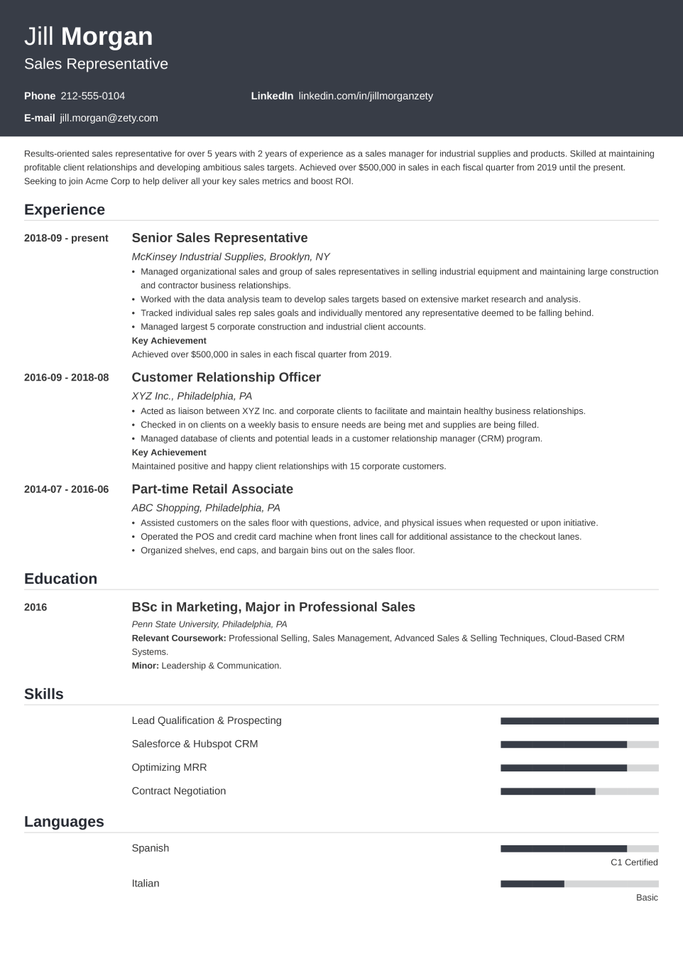 Professional CV Template Influx