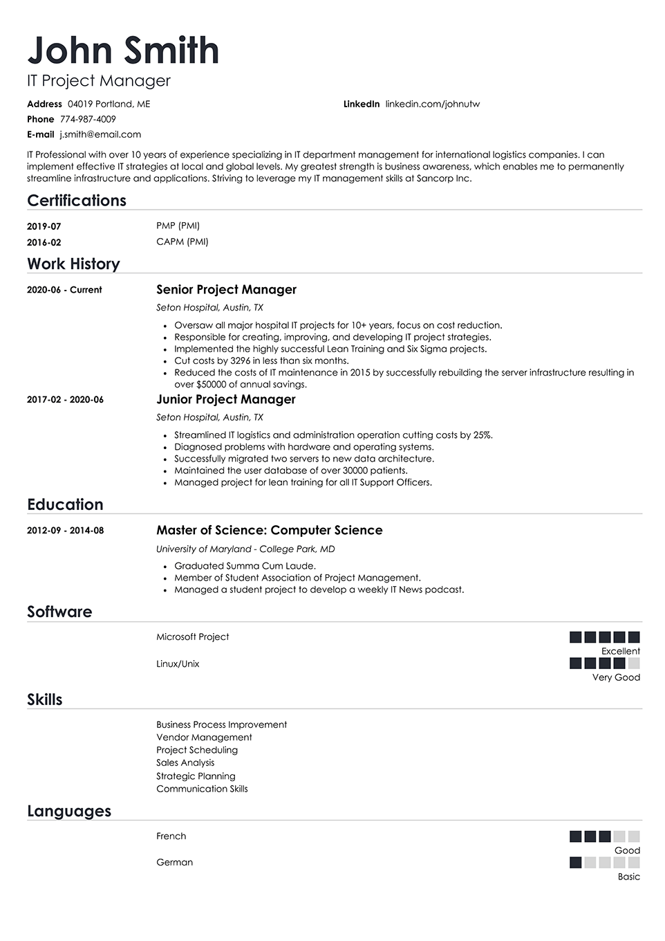 Professional Resume Template Nanica