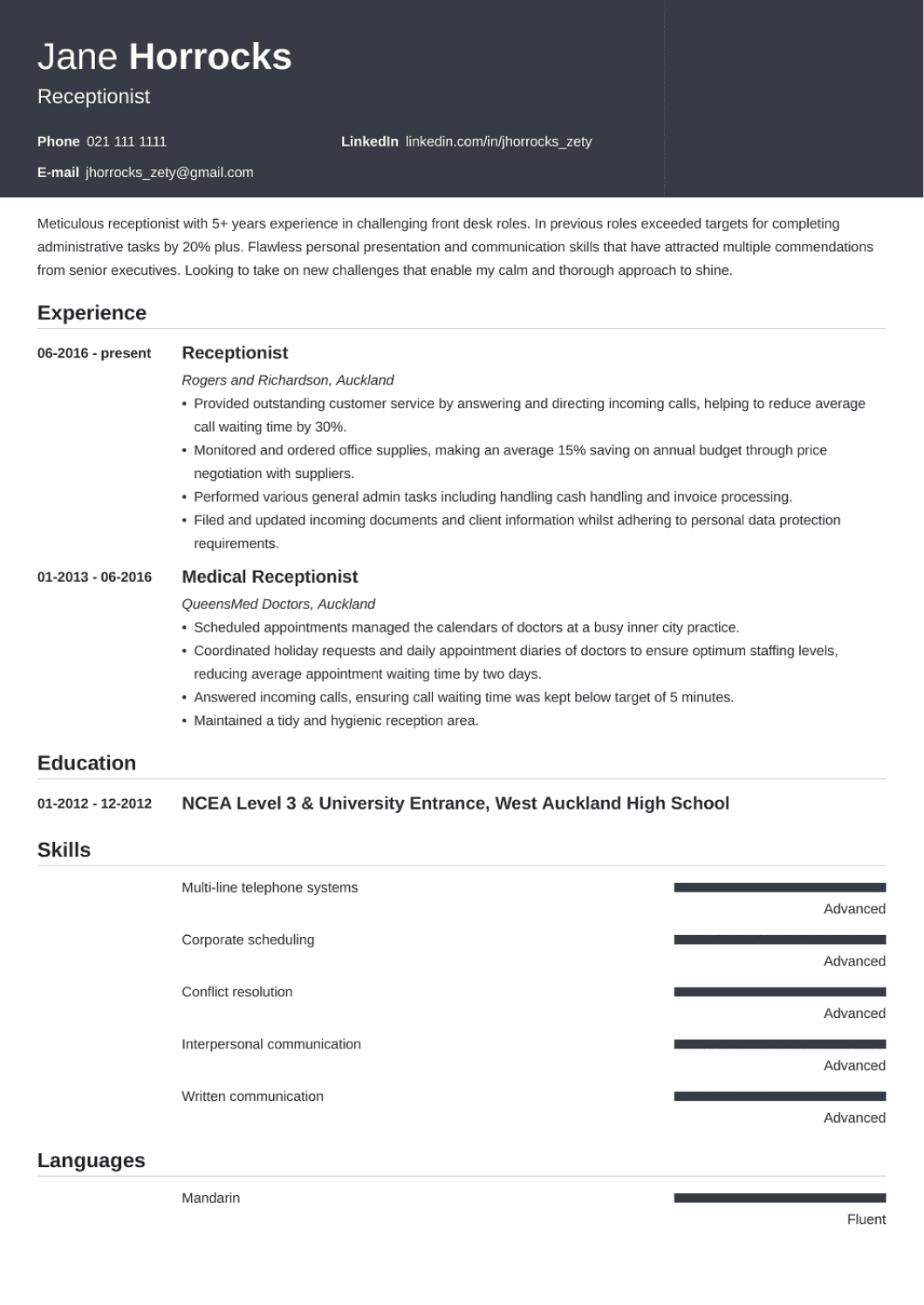 Professional CV Template Influx