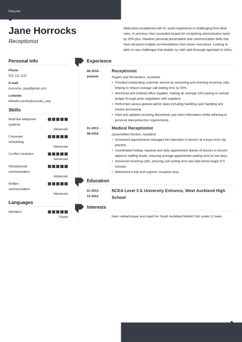 18 Professional CV Templates For NZ to Fill In & Download