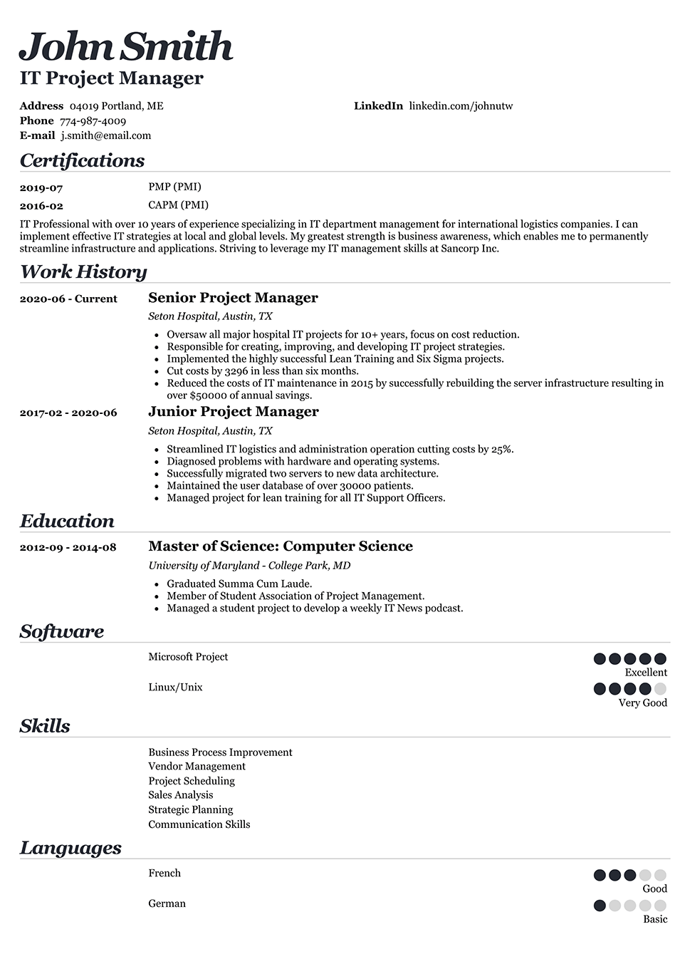 Professional Resume Template Valera