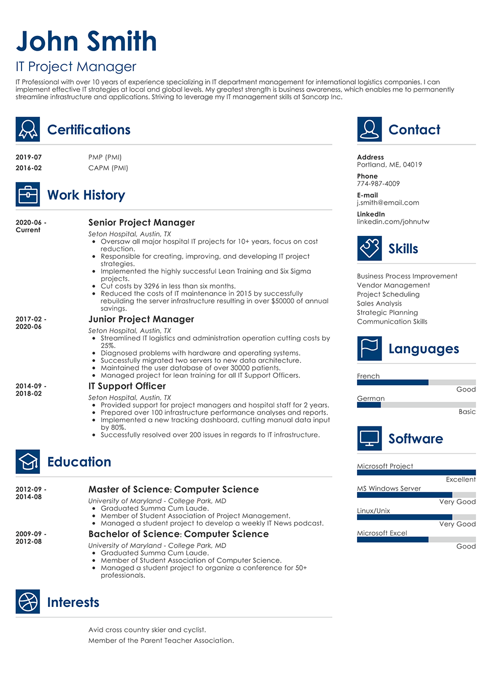 Professional Resume Template Vibes