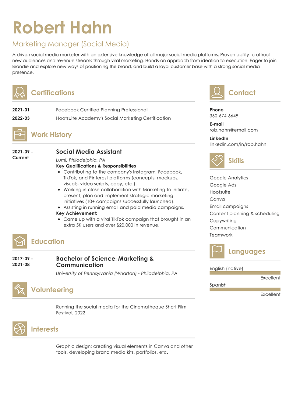 Vibes resume template