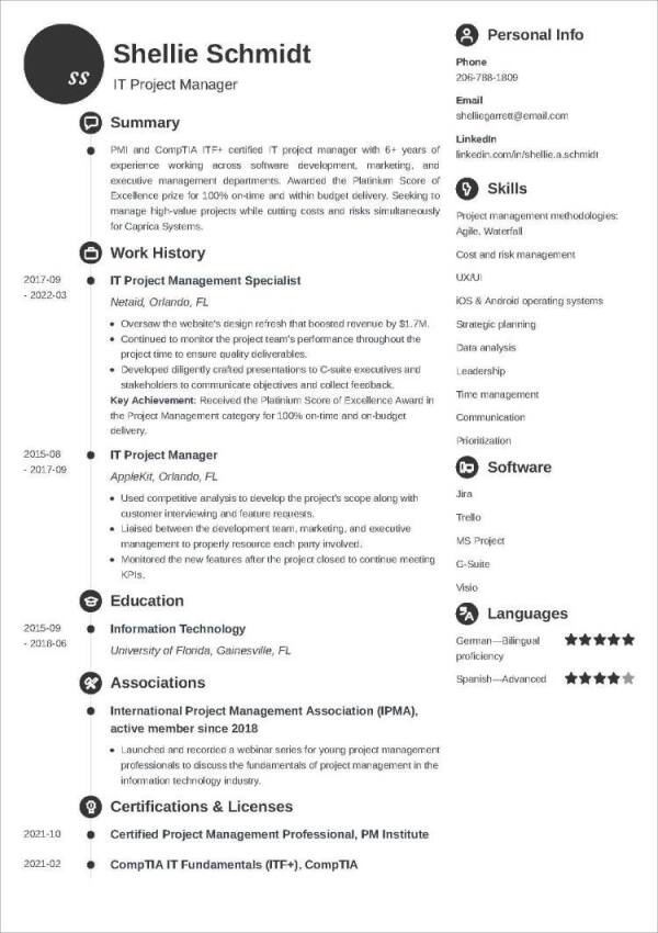 build the perfect resume free