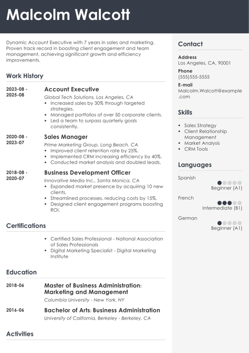 sample resume example
