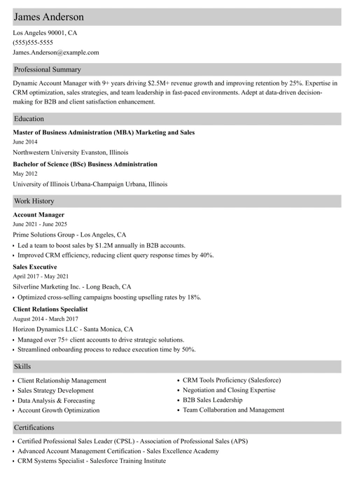 Account manager resume example