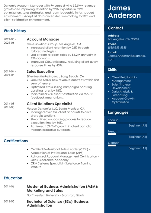 Account manager resume example